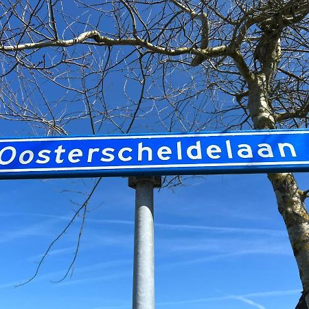 Vakantiehuis Met Luxe Tuin Dichtbij Het Strand Kamperland Eksteriør billede